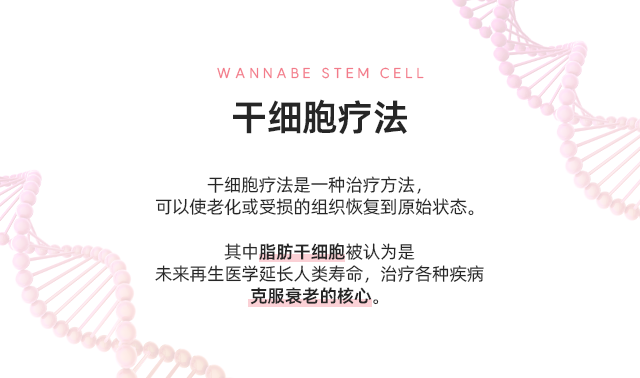 干细胞疗法 - 干细胞疗法是一种治疗方法，可以使老化或受损的组织恢复到原始状态。