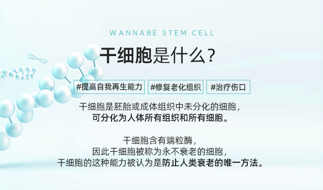 干细胞是什么？ - 干细胞含有端粒酶，因此干细胞被称为永不衰老的细胞，干细胞的这种能力被认为是防止人类衰老的唯一方法。